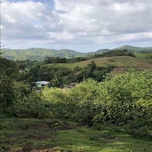 Meet your Posher, Tanner